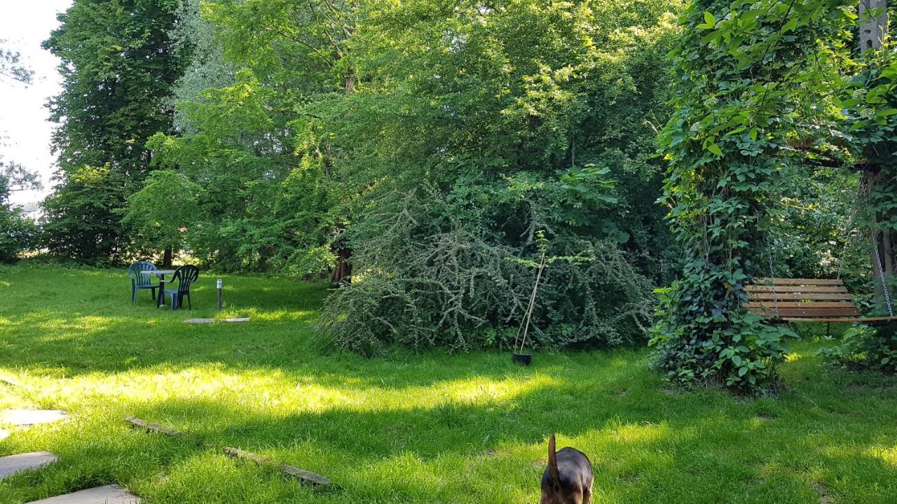 Gospodarstwo Agroturystyczne Stary Mlyn Wilczkowice Michalowice  Exteriör bild
