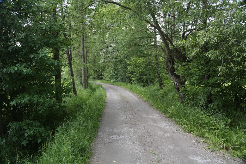 Gospodarstwo Agroturystyczne Stary Mlyn Wilczkowice Michalowice  Exteriör bild
