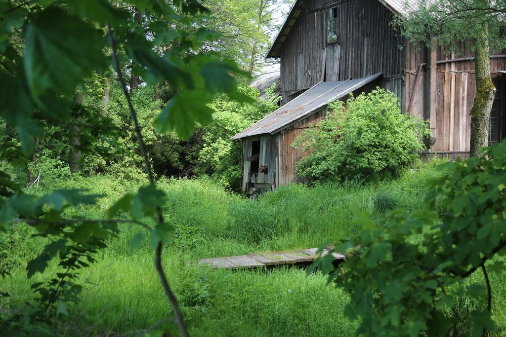 Gospodarstwo Agroturystyczne Stary Mlyn Wilczkowice Michalowice  Exteriör bild