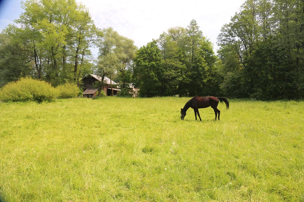 Gospodarstwo Agroturystyczne Stary Mlyn Wilczkowice Michalowice  Exteriör bild