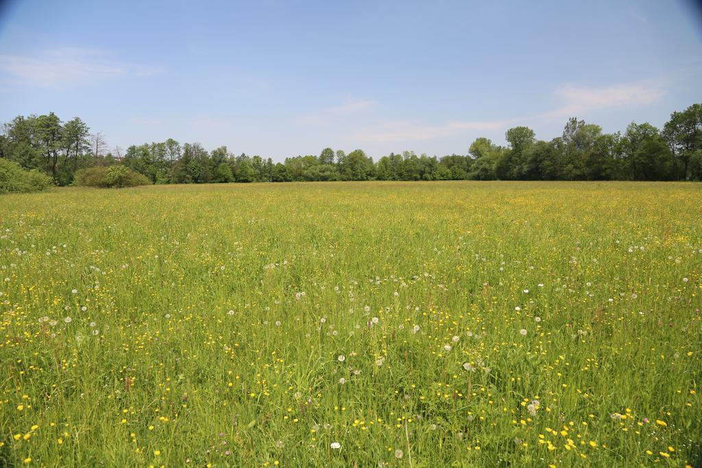 Gospodarstwo Agroturystyczne Stary Mlyn Wilczkowice Michalowice  Exteriör bild