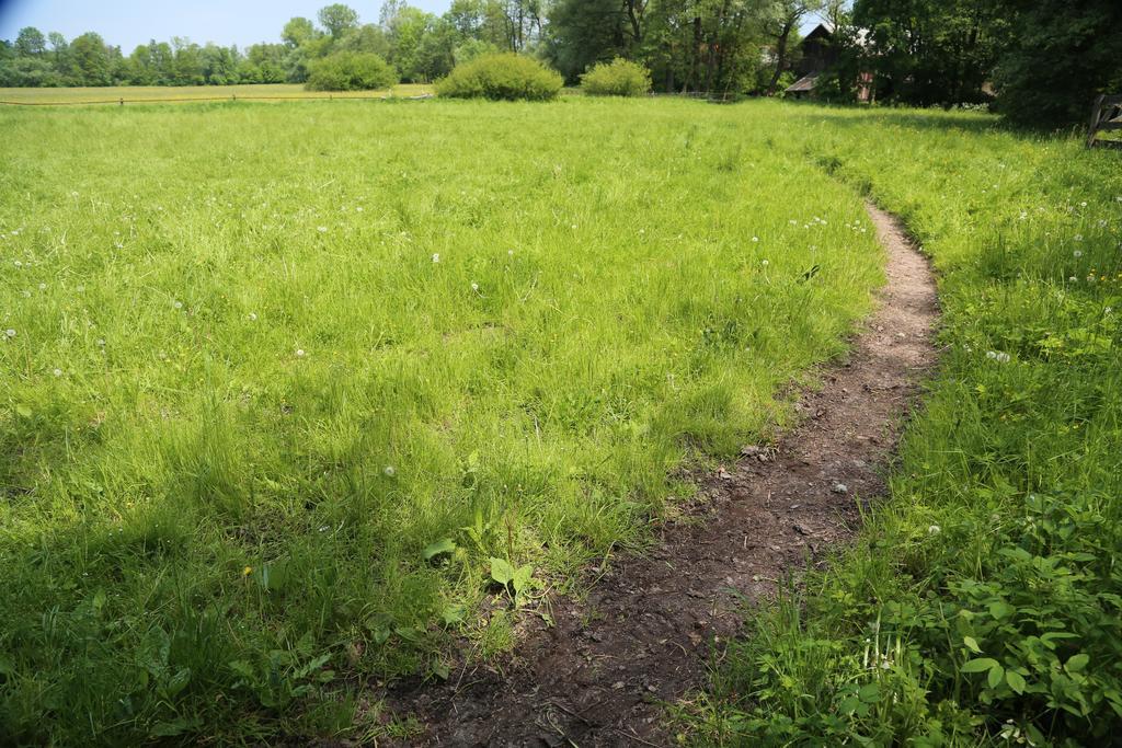 Gospodarstwo Agroturystyczne Stary Mlyn Wilczkowice Michalowice  Exteriör bild